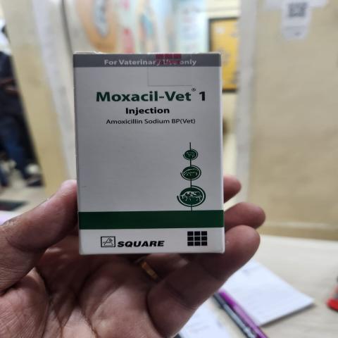 Inj Moxacil vet 1